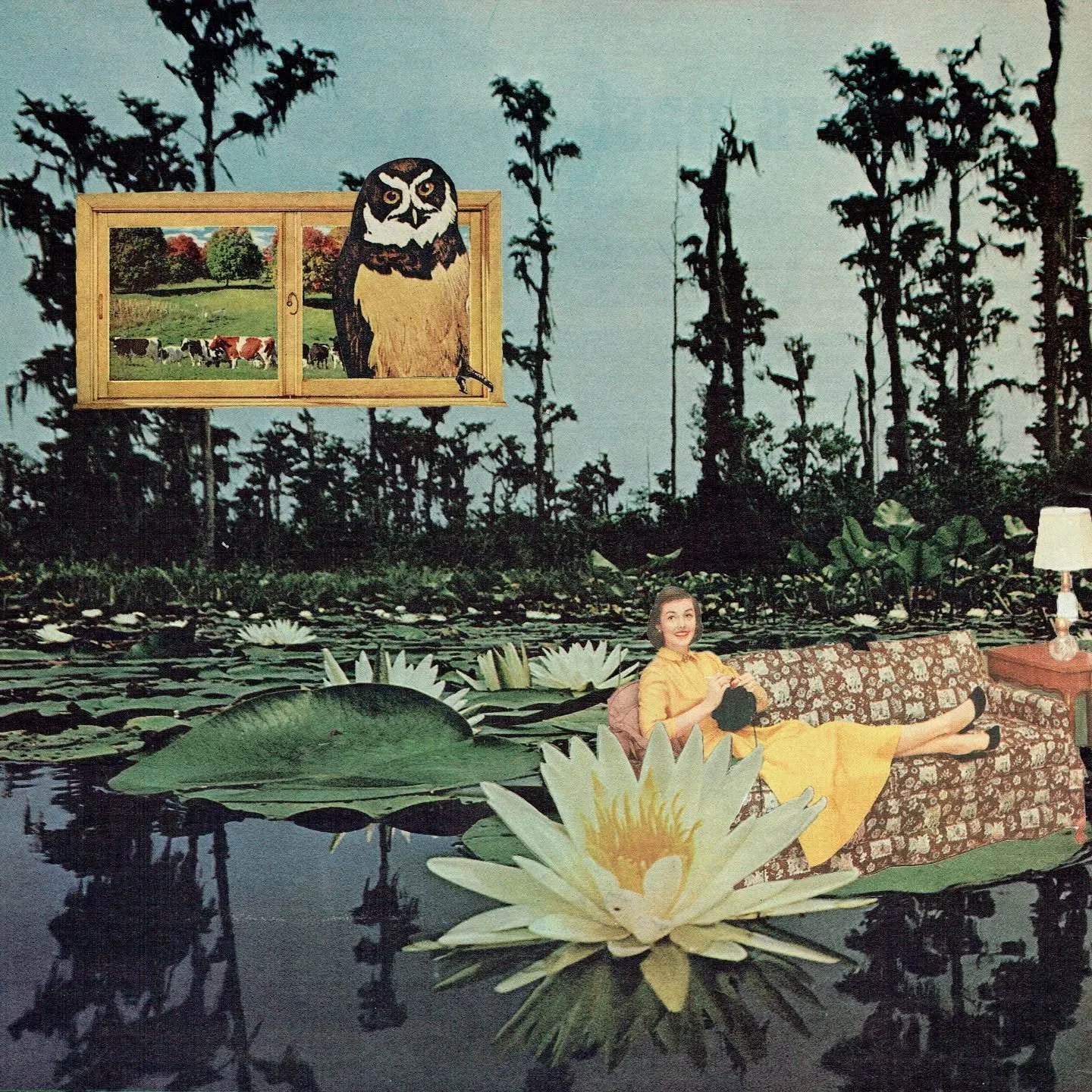 "Bogged Down" 🦉 original sold, 8x8" art prints available ✨