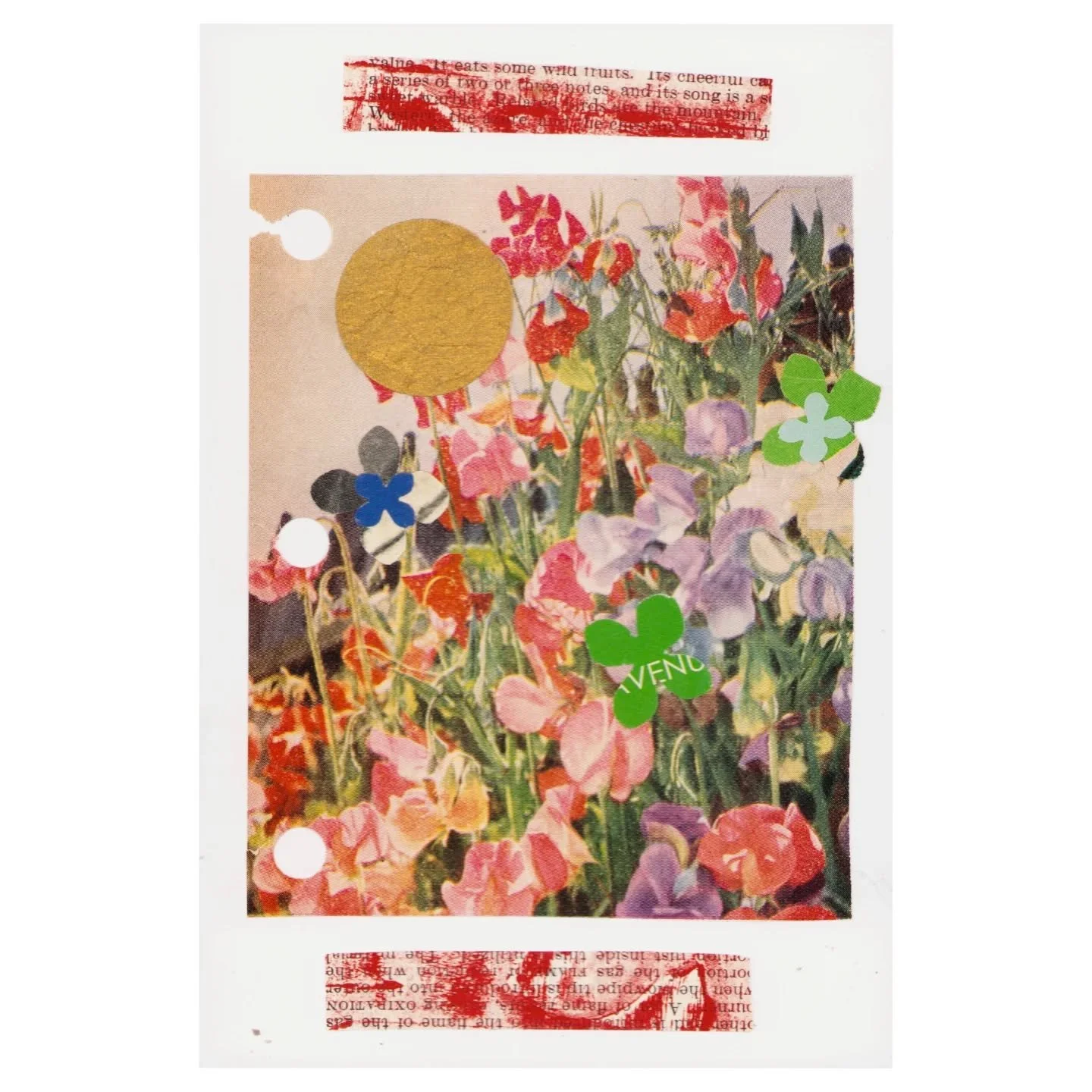 A rather abstract piece about summer 🌞
This piece was made at World Collage Day