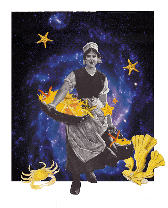 Februllage - star.png
