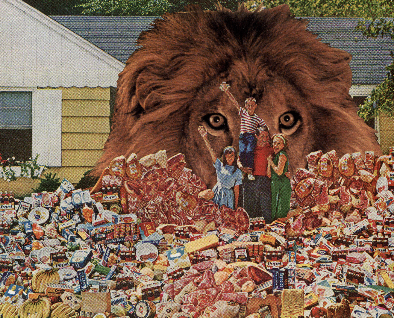 food chain.png