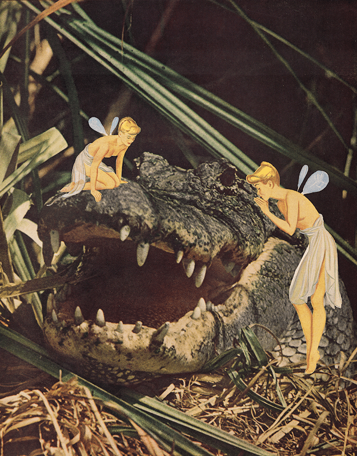 Februllage - teeth croc.png