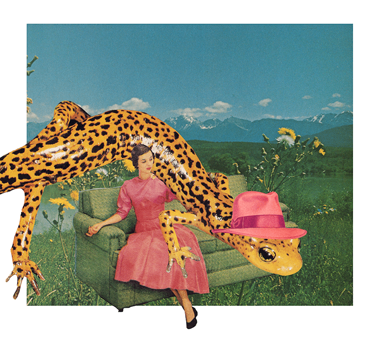 Februllage - pink.png