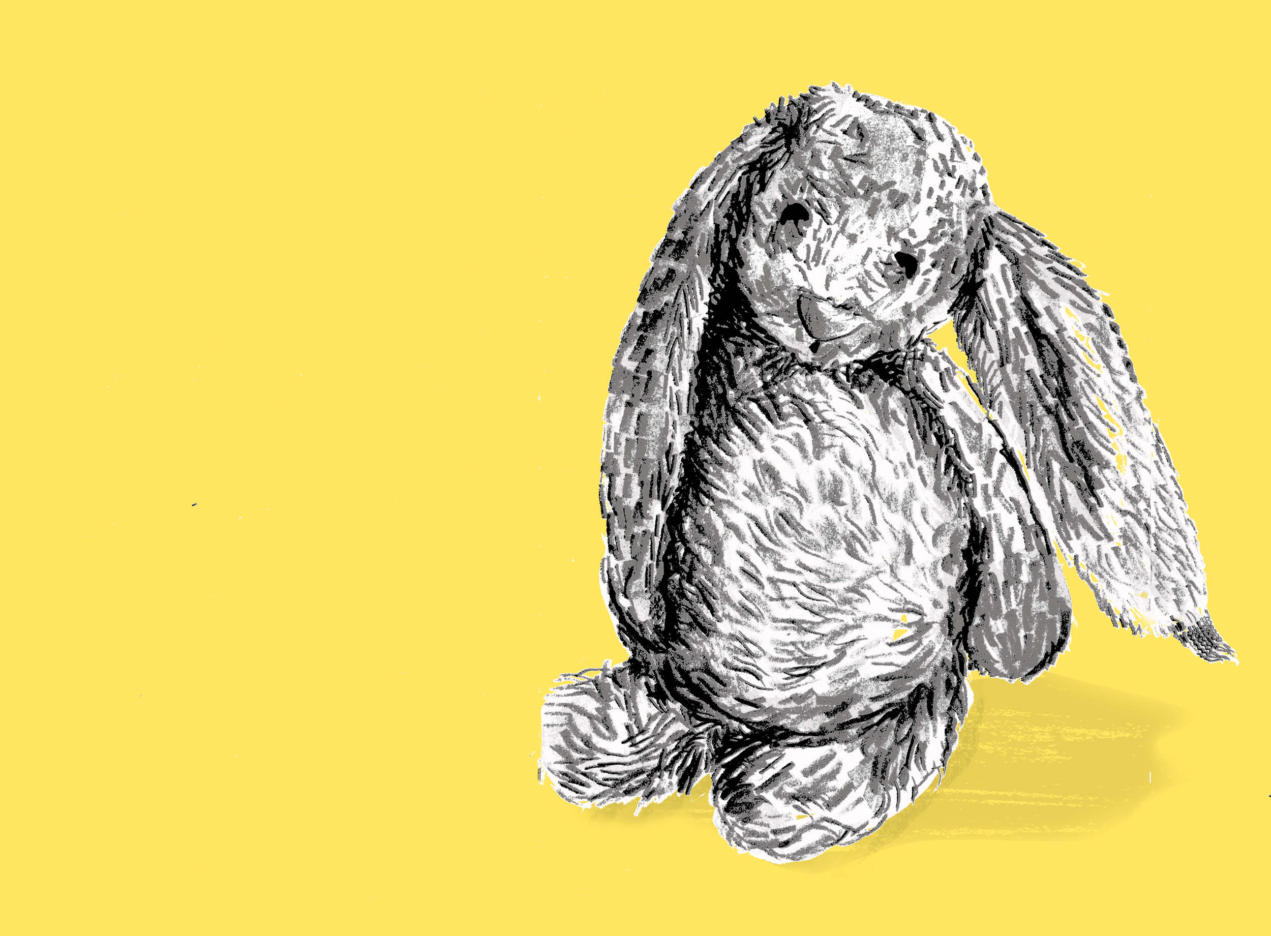 Transitional Objects