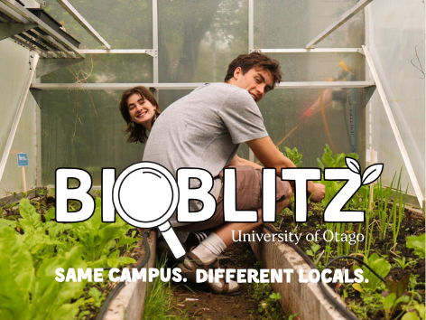 Bioblitz Event