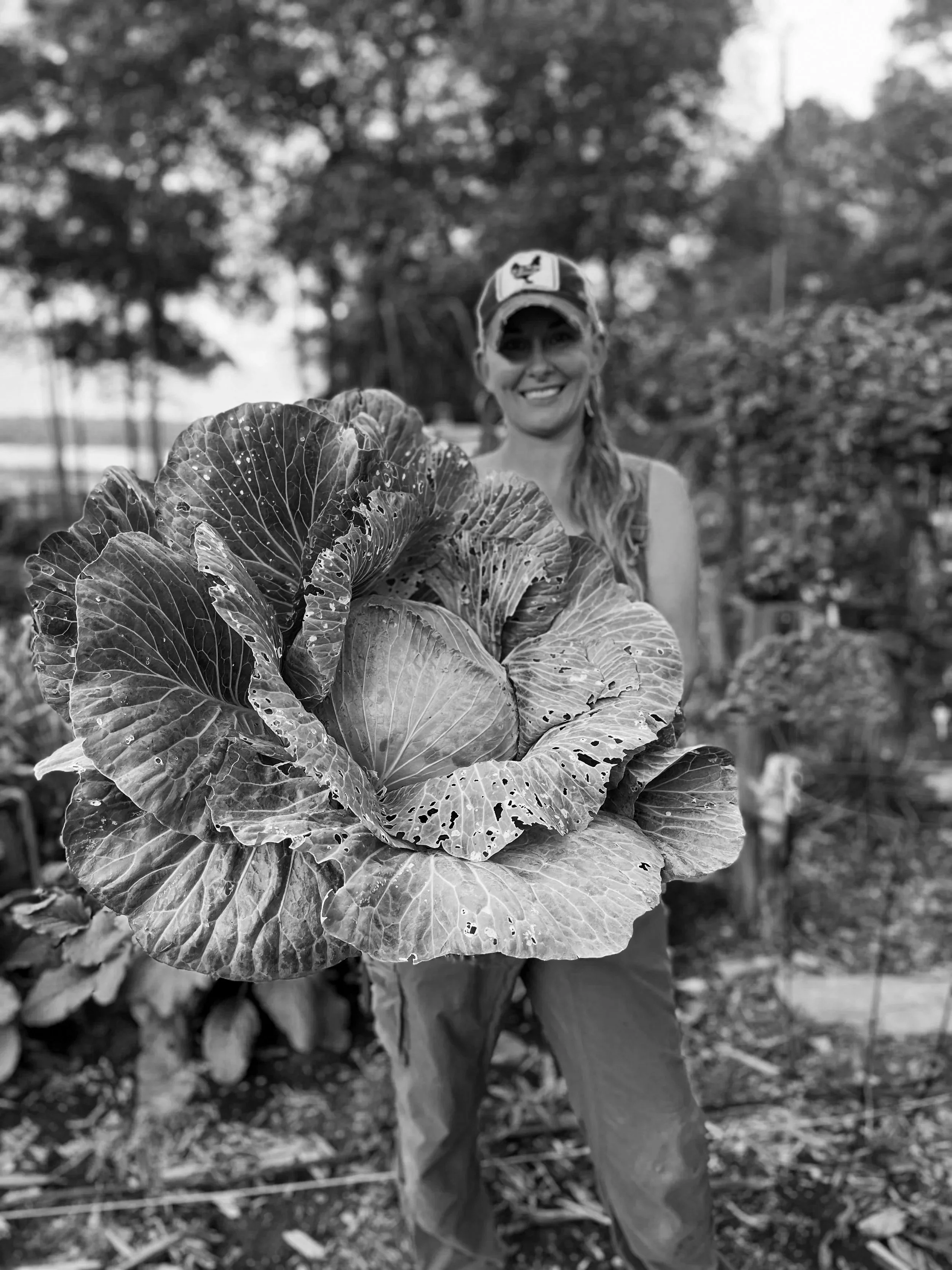Planning The Southern Winter Garden
