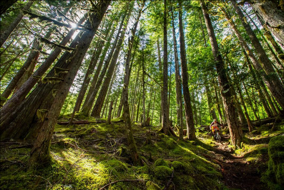 Screenshot 2023-01-05 185839.gif