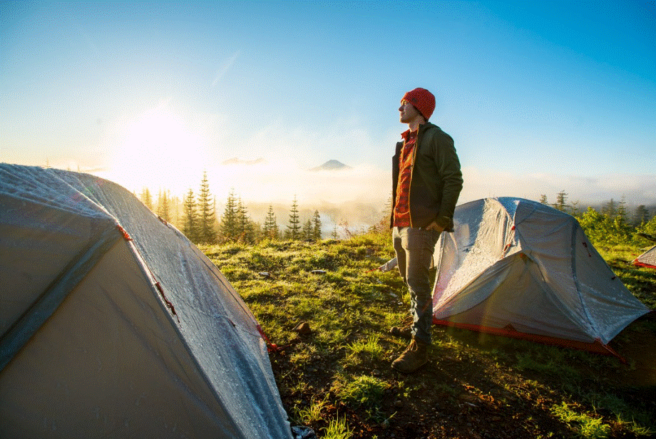 Screenshot 2023-01-05 185947.gif