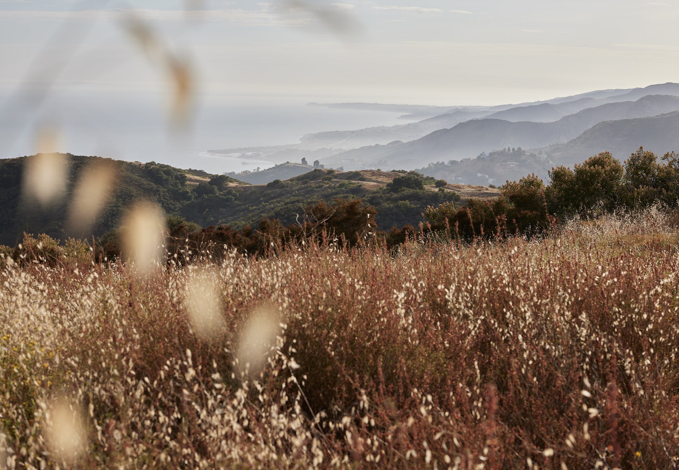 Late Summer