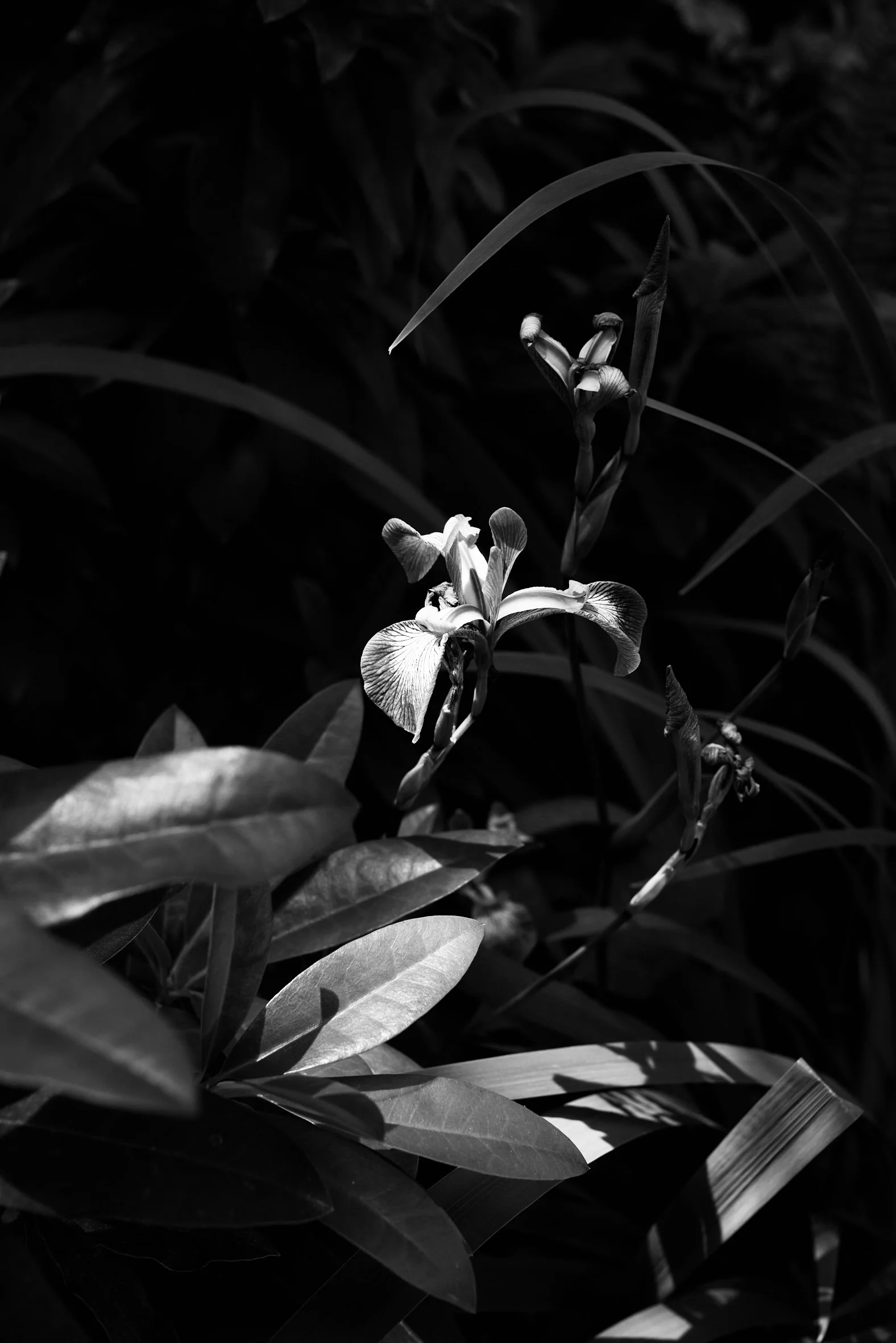 0G0A9545.jpg