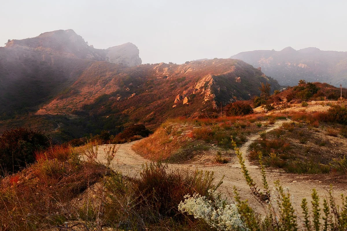 0G0A7252_48wide.jpg