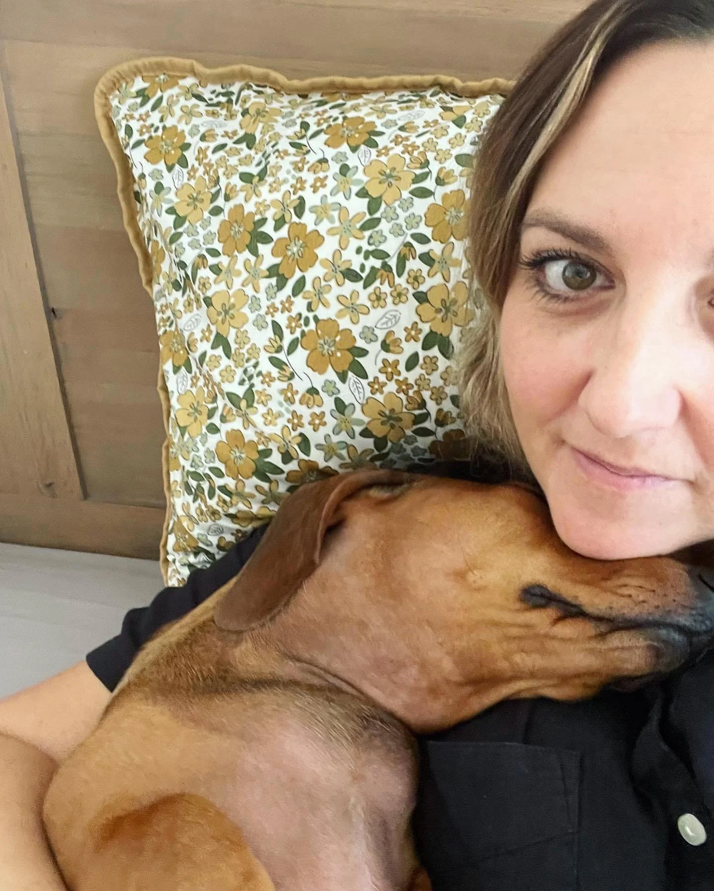 The snag snuggle game is strong tonight! 

Its been a stinking hot day here in North Queensland but thankfully tonight we are enjoying some rain to hopefully cool things down. 

#sausagedogcentral #sausagedogsofinstagram #sausagedog #counselling #mac