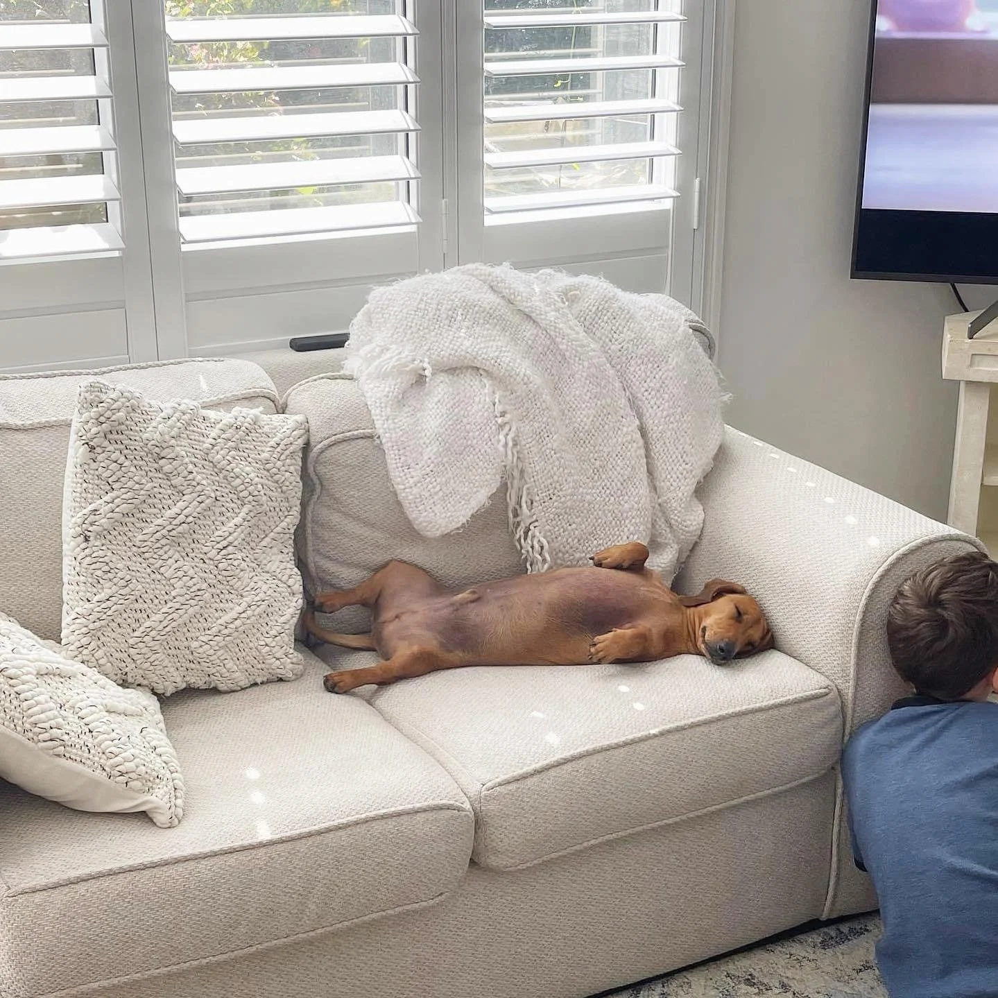 Those weekend vibes are in full swing at our place today! 😁

#weekendvibes #saturdayvibes #restrelaxrecharge #mackay #sausagedog #sausagedogcentral #mentalhealthawareness #mackaycounselling #thenixonclinic #counsellor