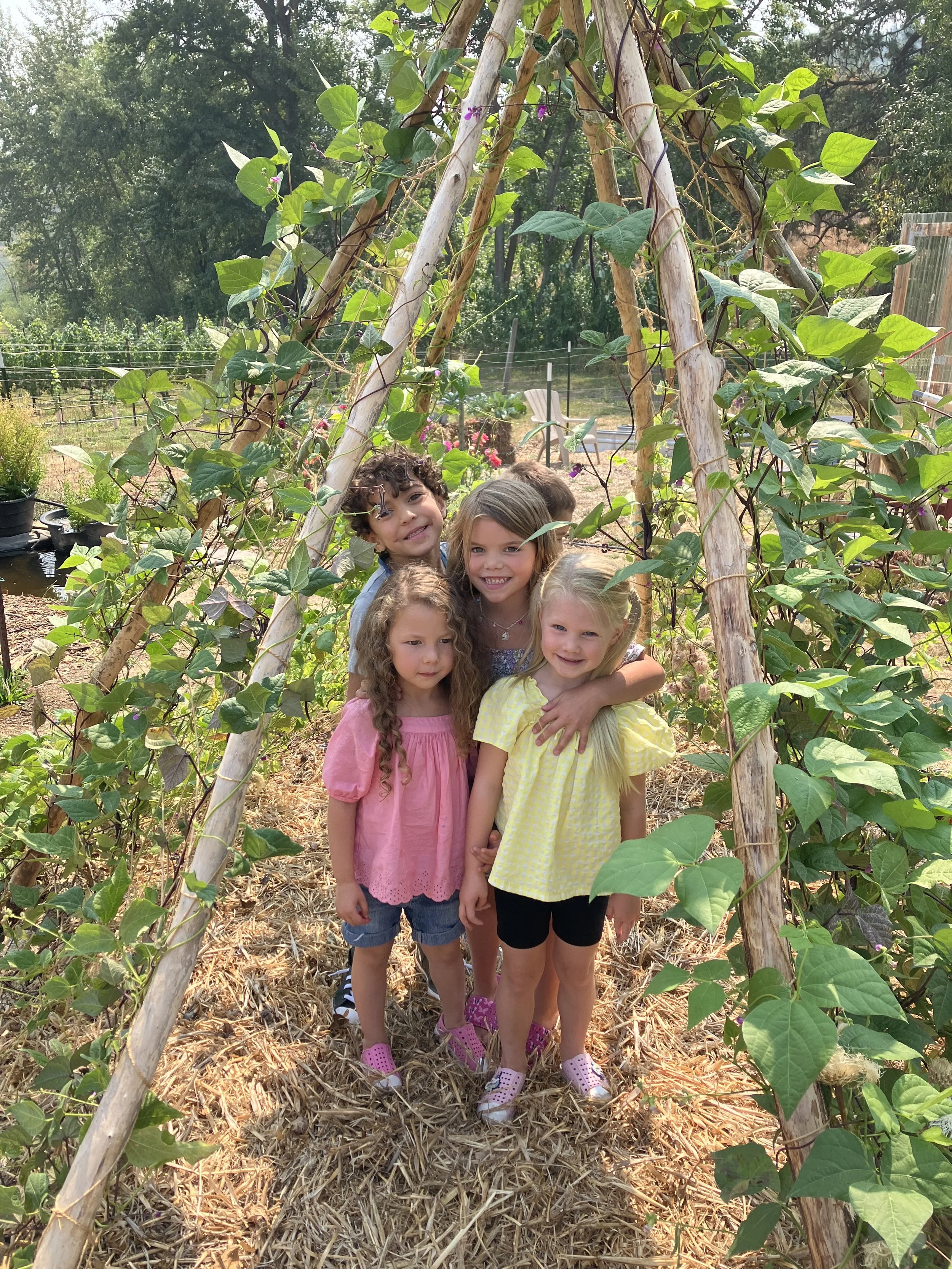 Farm Camp (School Inservice Day)