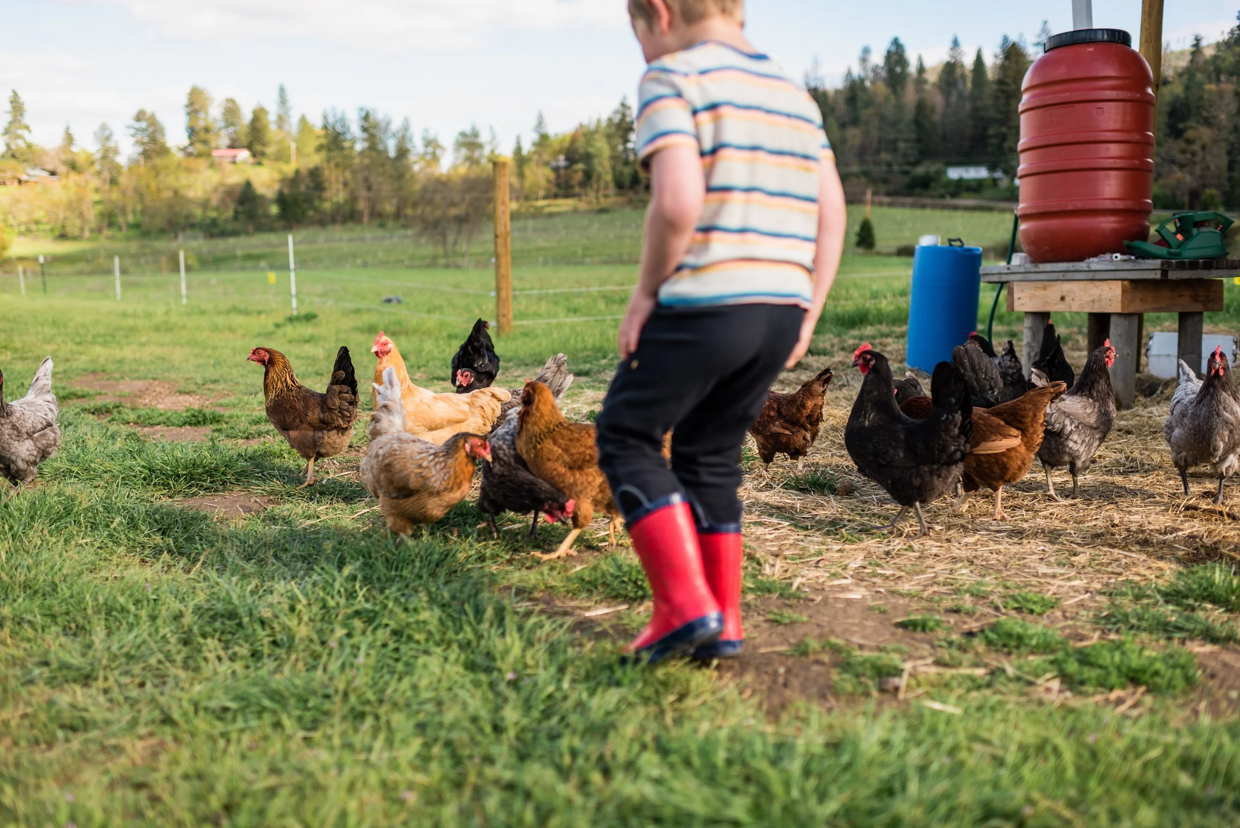 “Fun on the Farm”