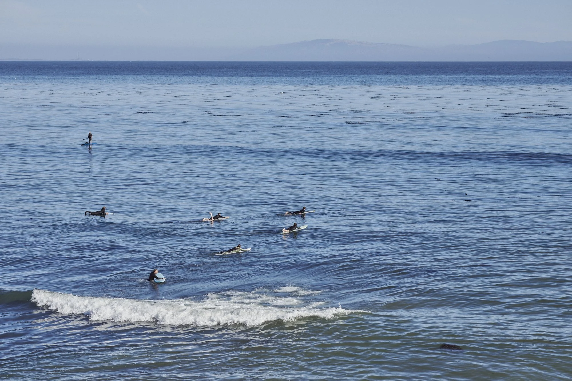_DSC8760.jpg