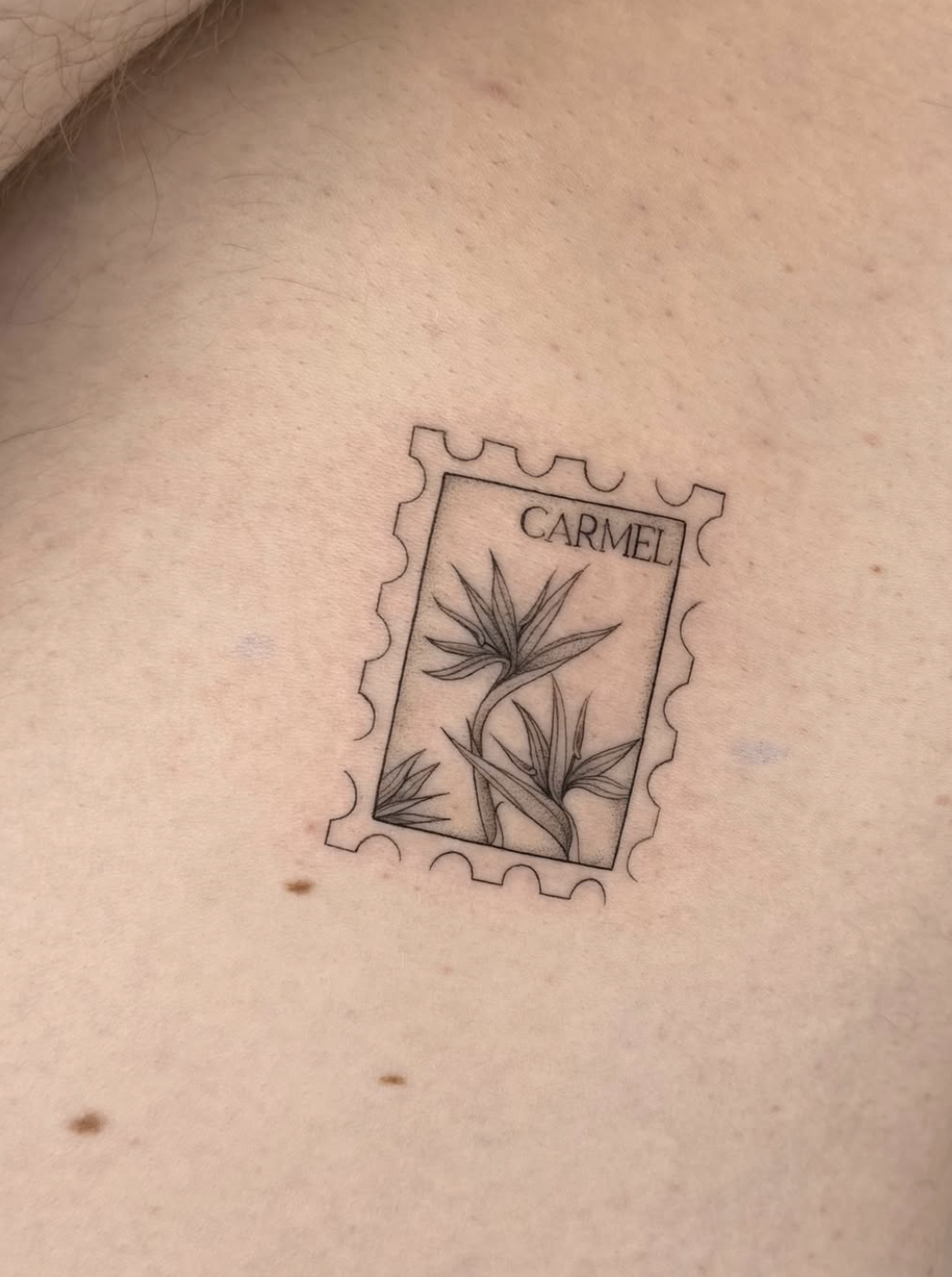 Screenshot 2025-12-23 at 4.12.01 PM.png