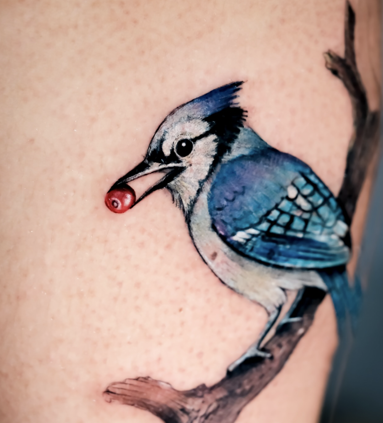 Screenshot 2025-12-23 at 5.00.36 PM.png