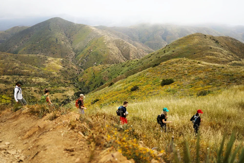 Hiking+-+Group+and+Scenery+4-Lighter.webp