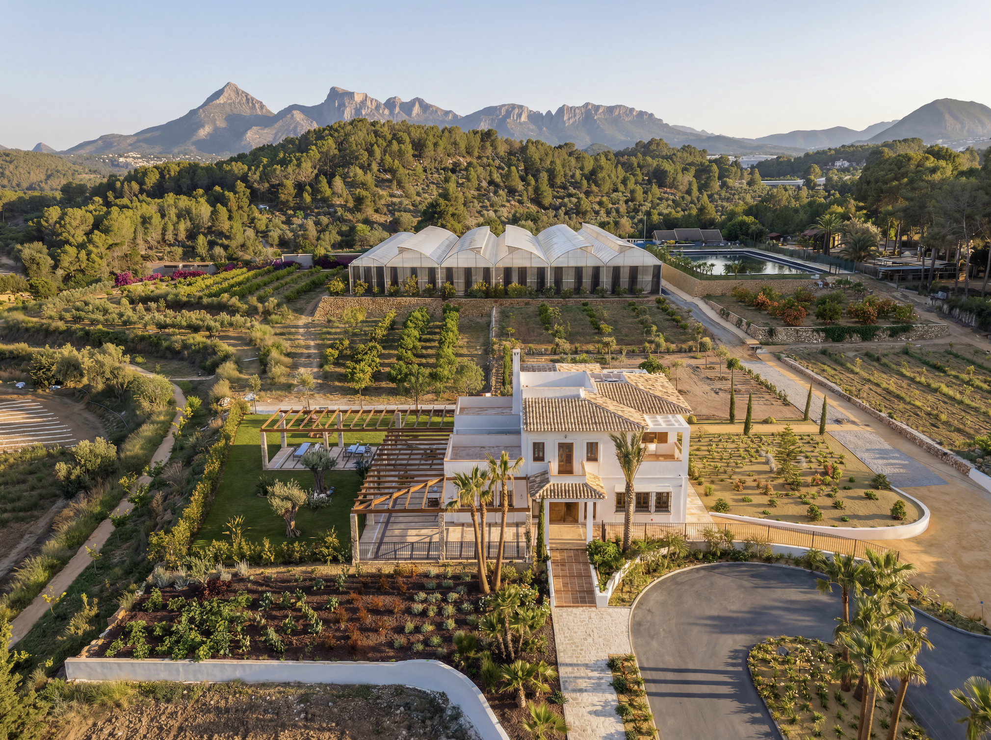 Screenshot 2026-02-22 at 8.10.31 PM.png