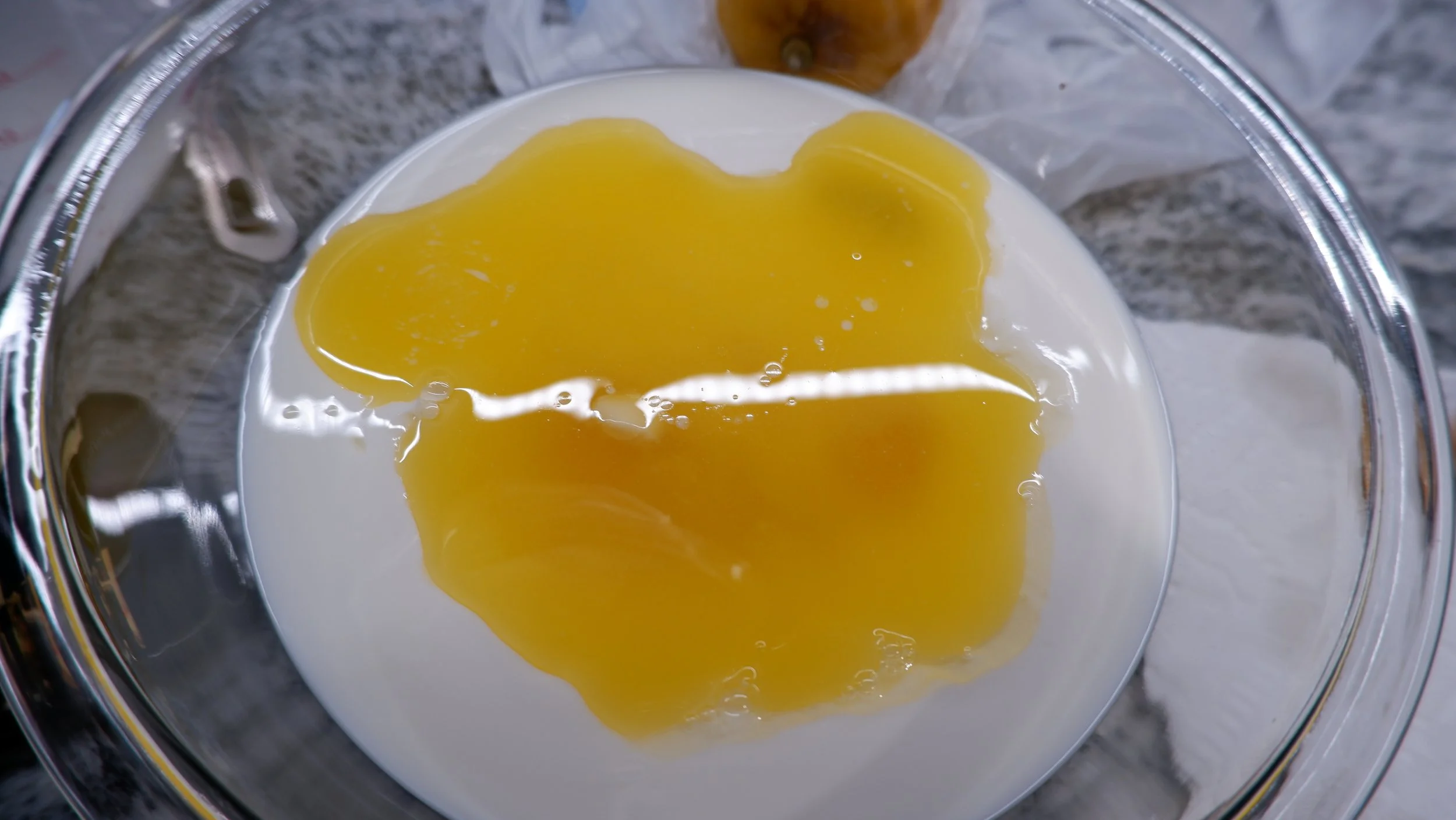DSCF3537.JPG