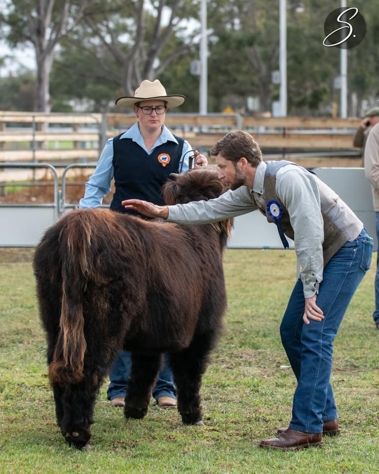 NWHCA Judges Workshop