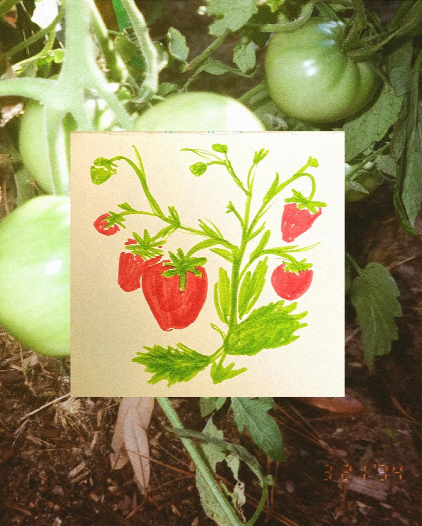 A peek inside one of the sketches that inspired a new design - coming soon 🍓