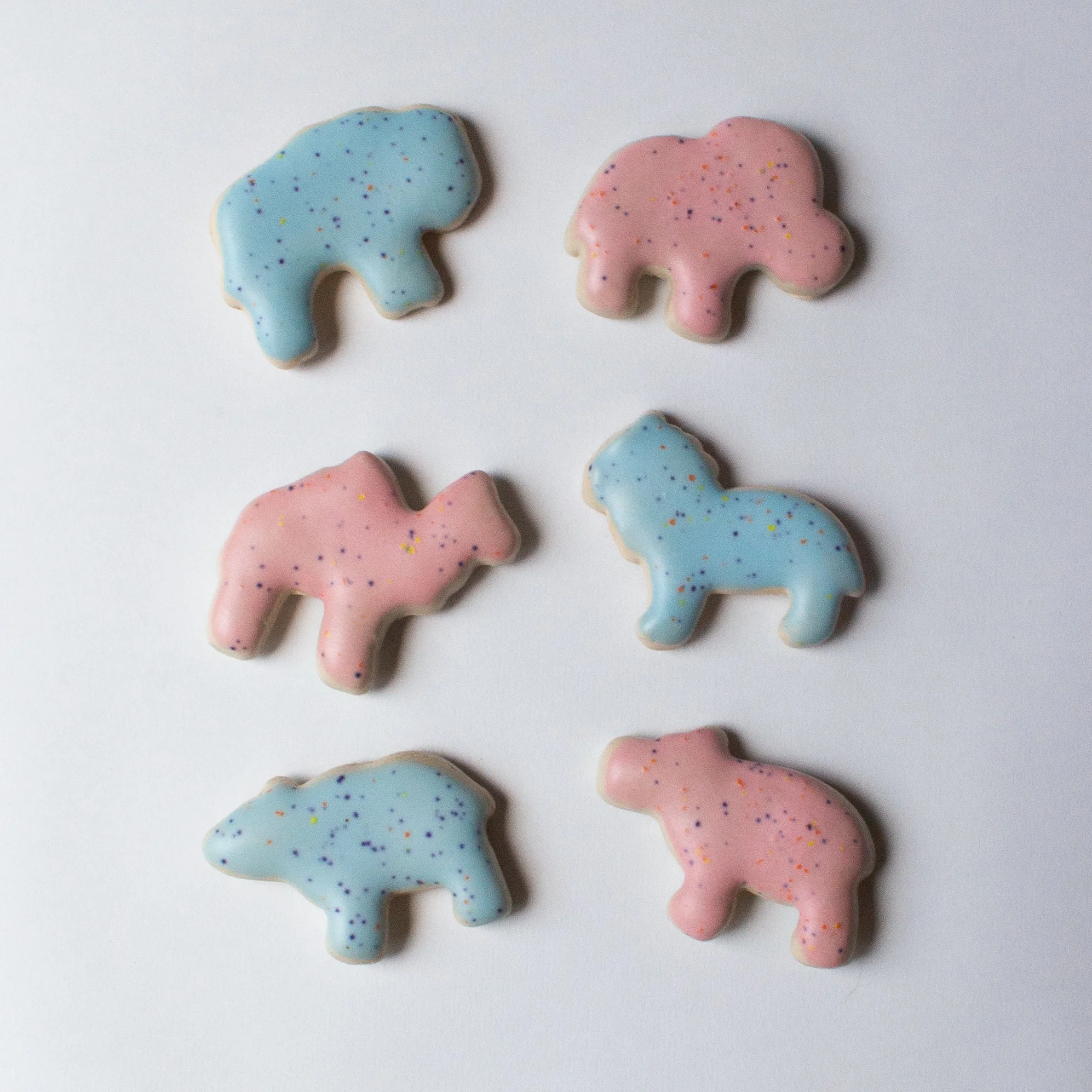 Party Animal Cracker Magnet Set