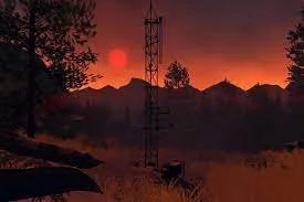 Suivellance Camp.jpg