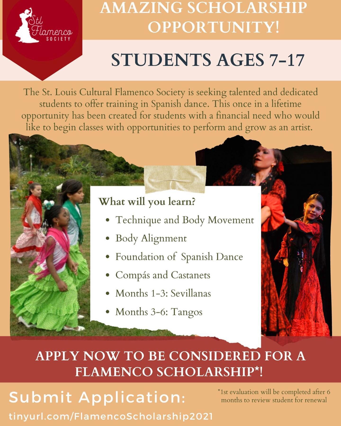 Apply for our flamenco scholarship!