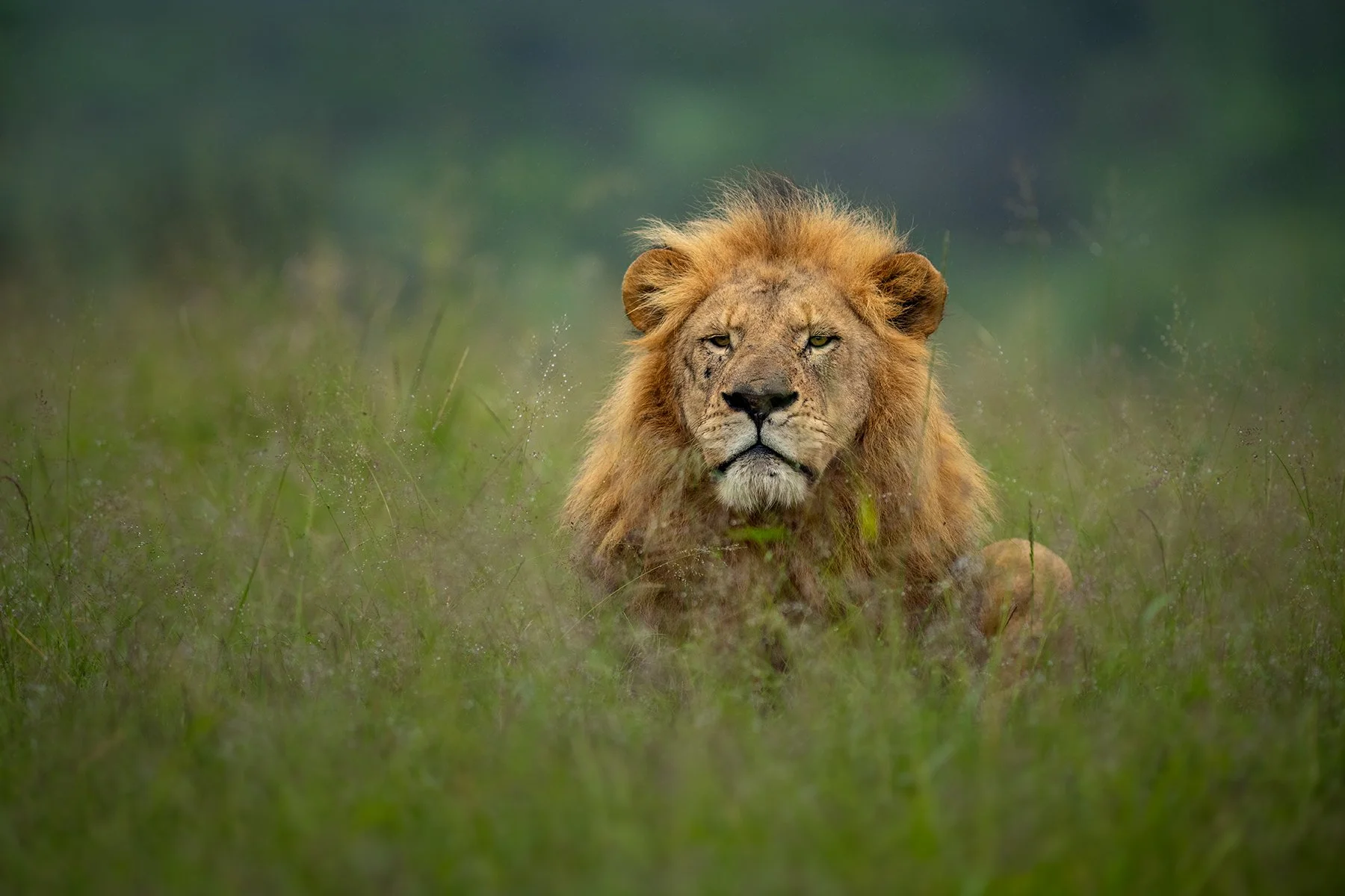 _DSC3911-Edit-Edit copy.jpg