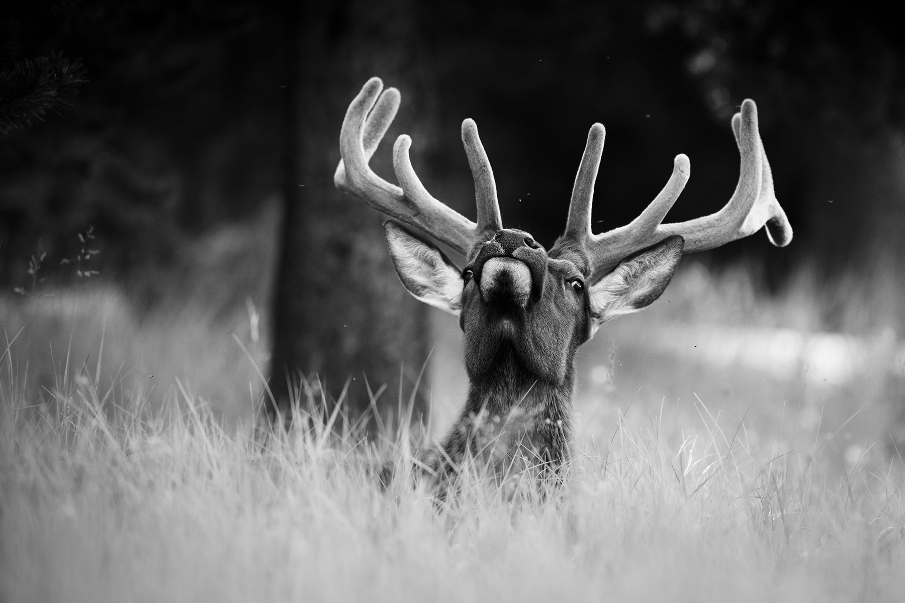 _DSC5464-Edit.jpg
