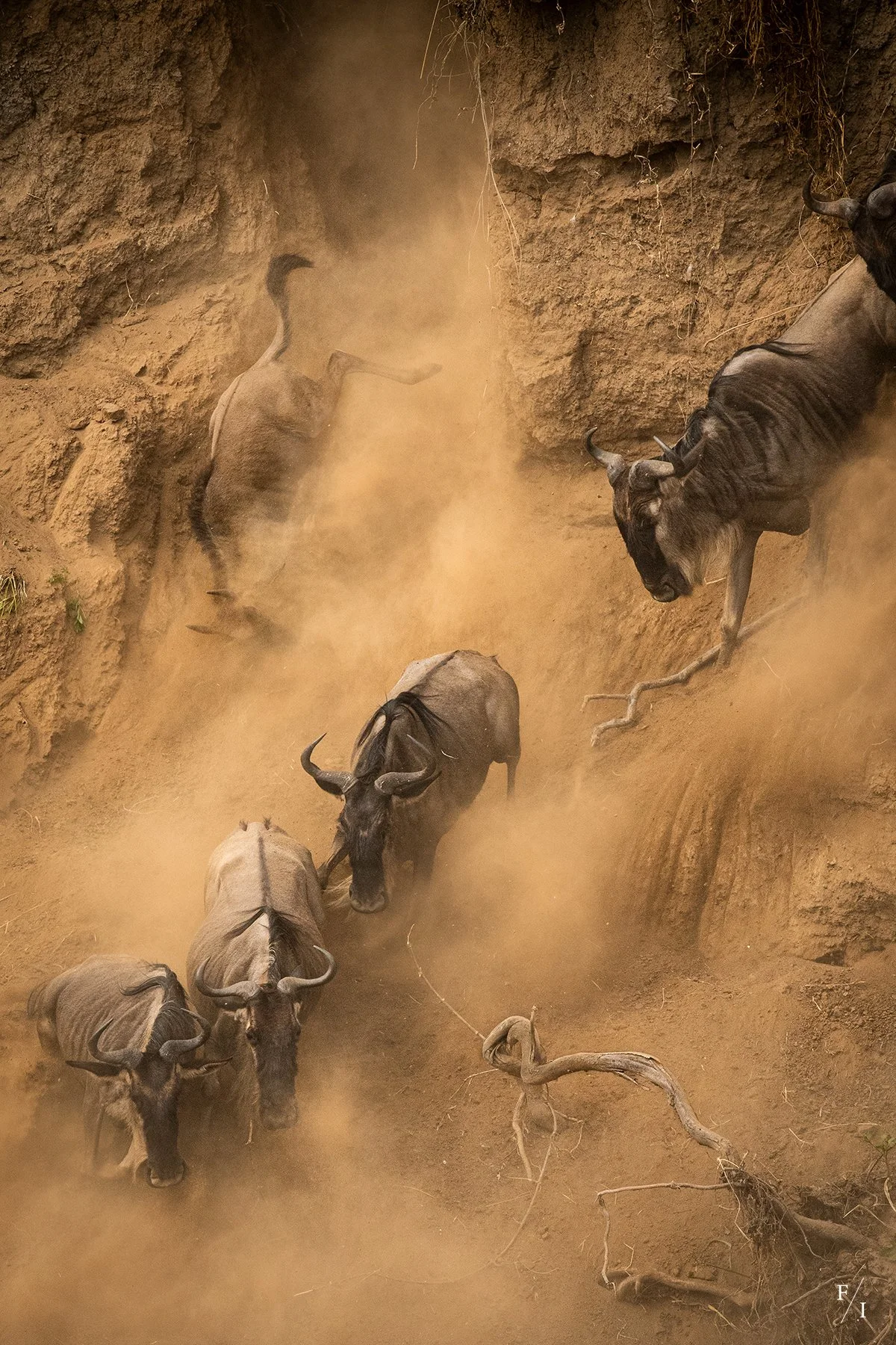 _DSC8247-Edit copy.jpg