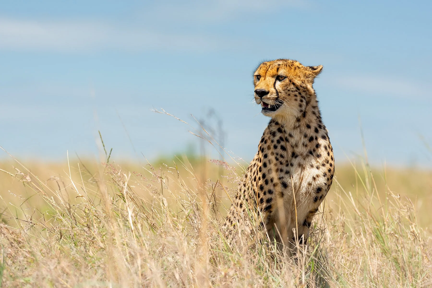 _DSC0009-Edit-Edit copy.jpg