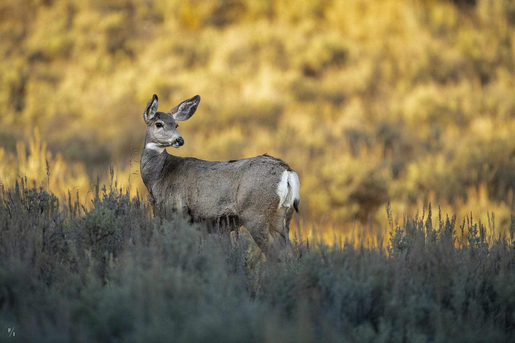 _DSC2588-Edit.jpg