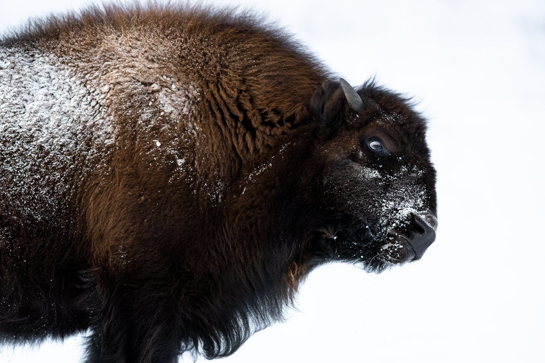 _DSC8508-Edit.jpg