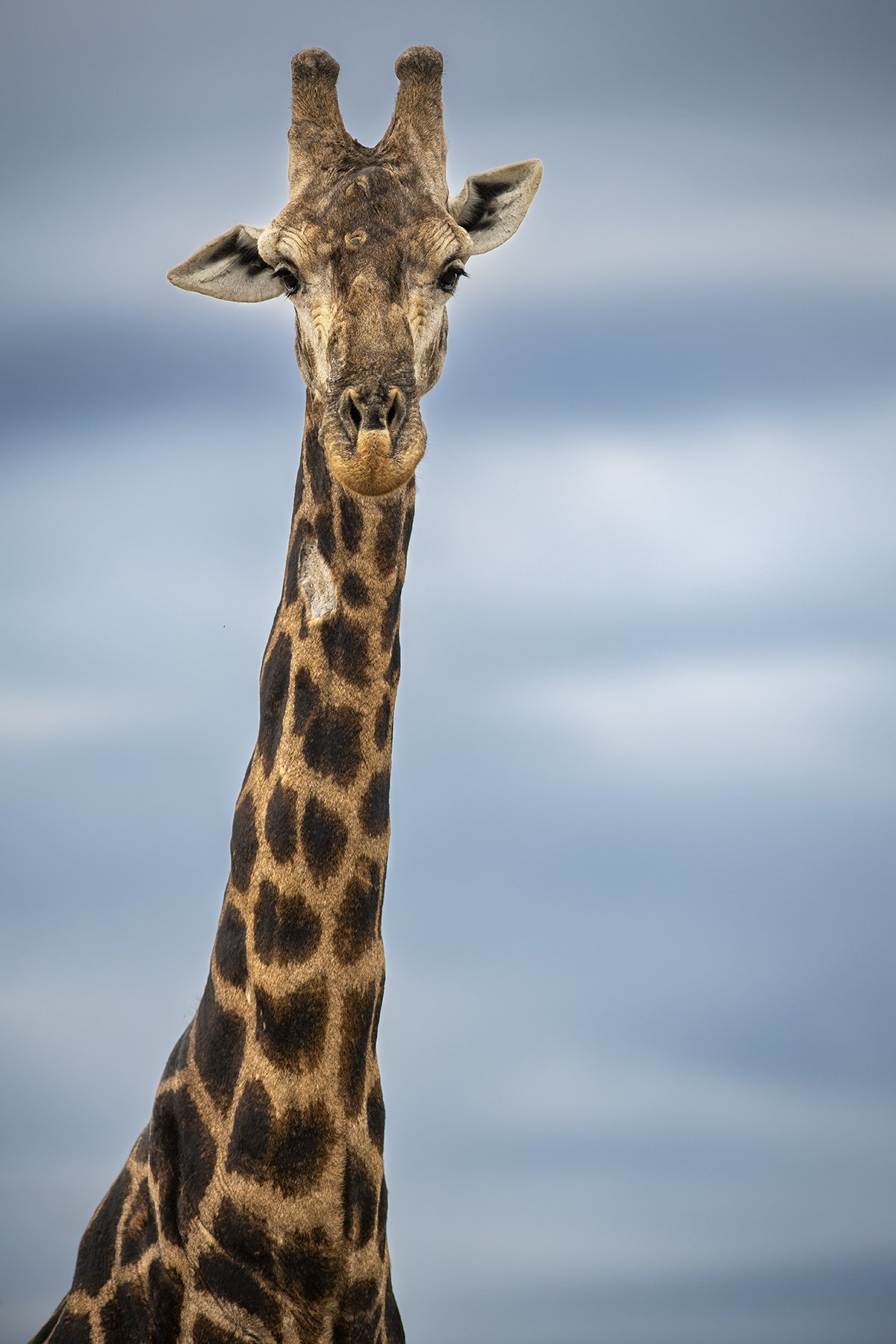 _DSC3326-Edit-Edit copy.jpg