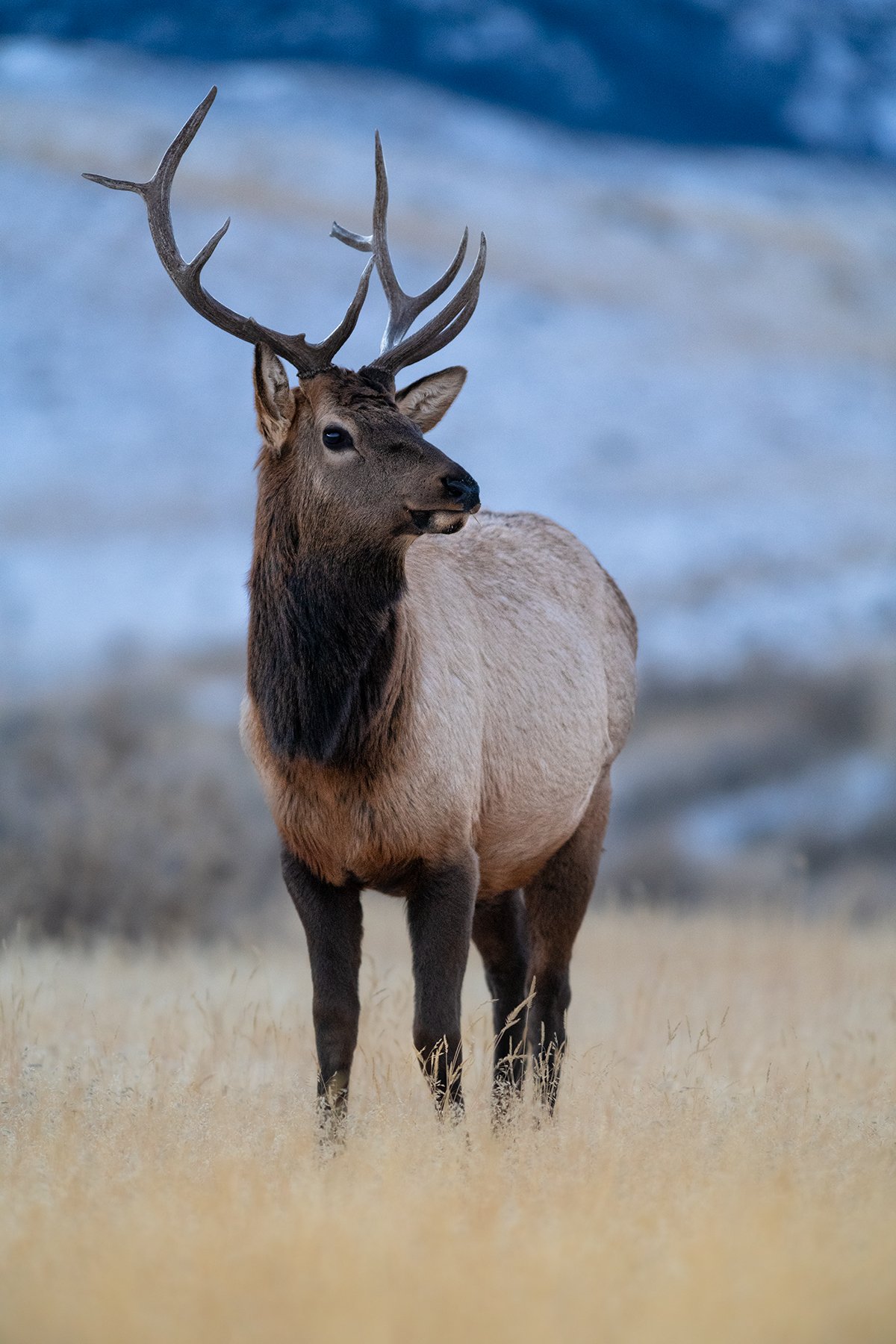 _DSC9384-Edit.jpg
