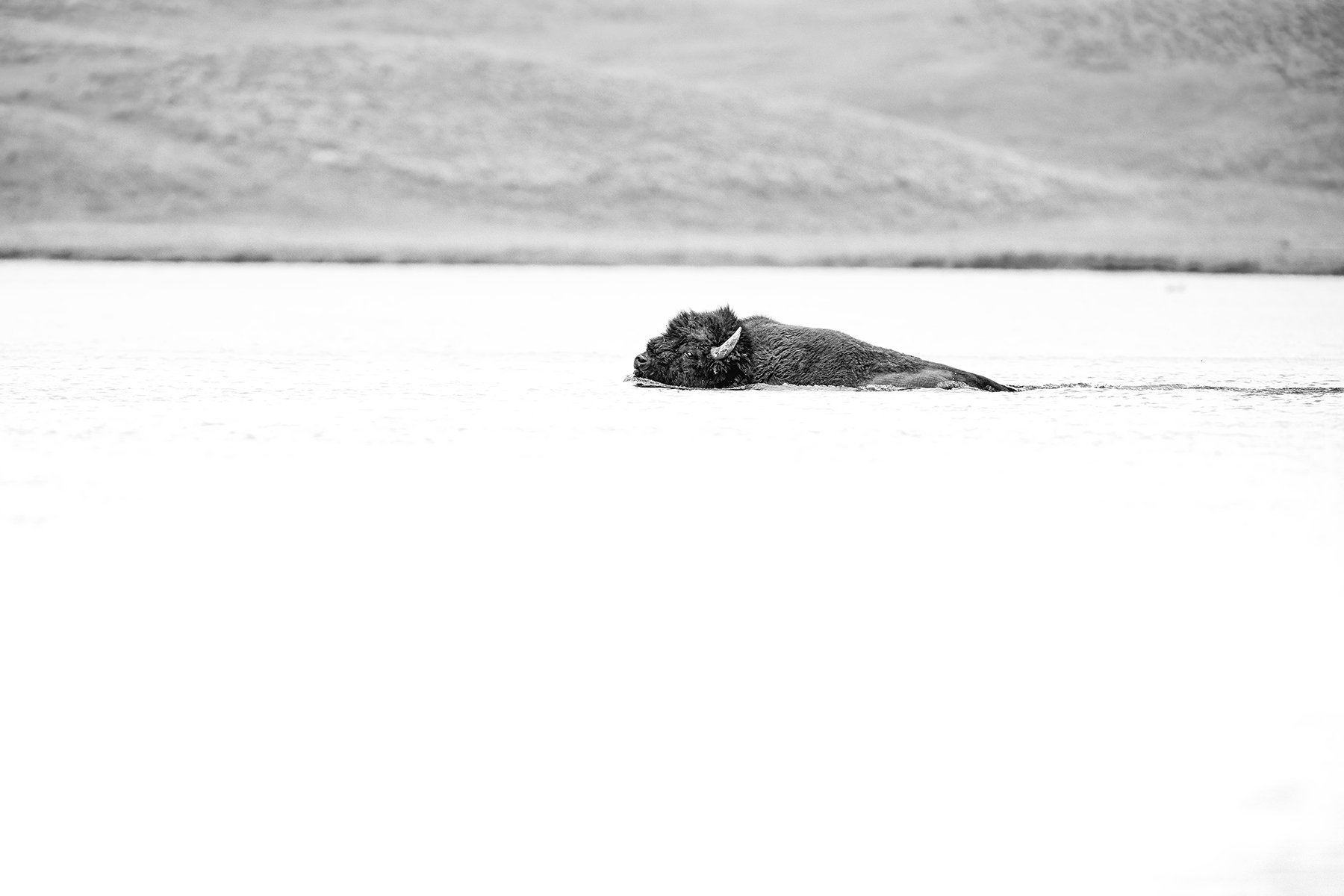_DSC5223-Edit-Edit-Edit copy.jpg