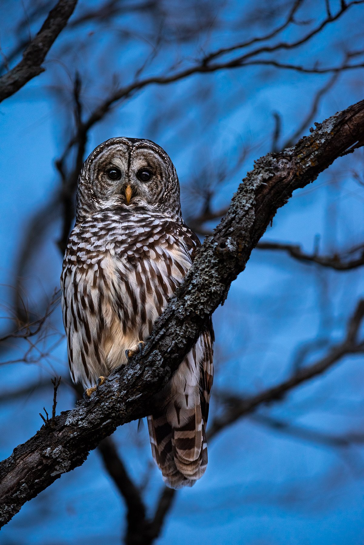 DSC_7463.jpg