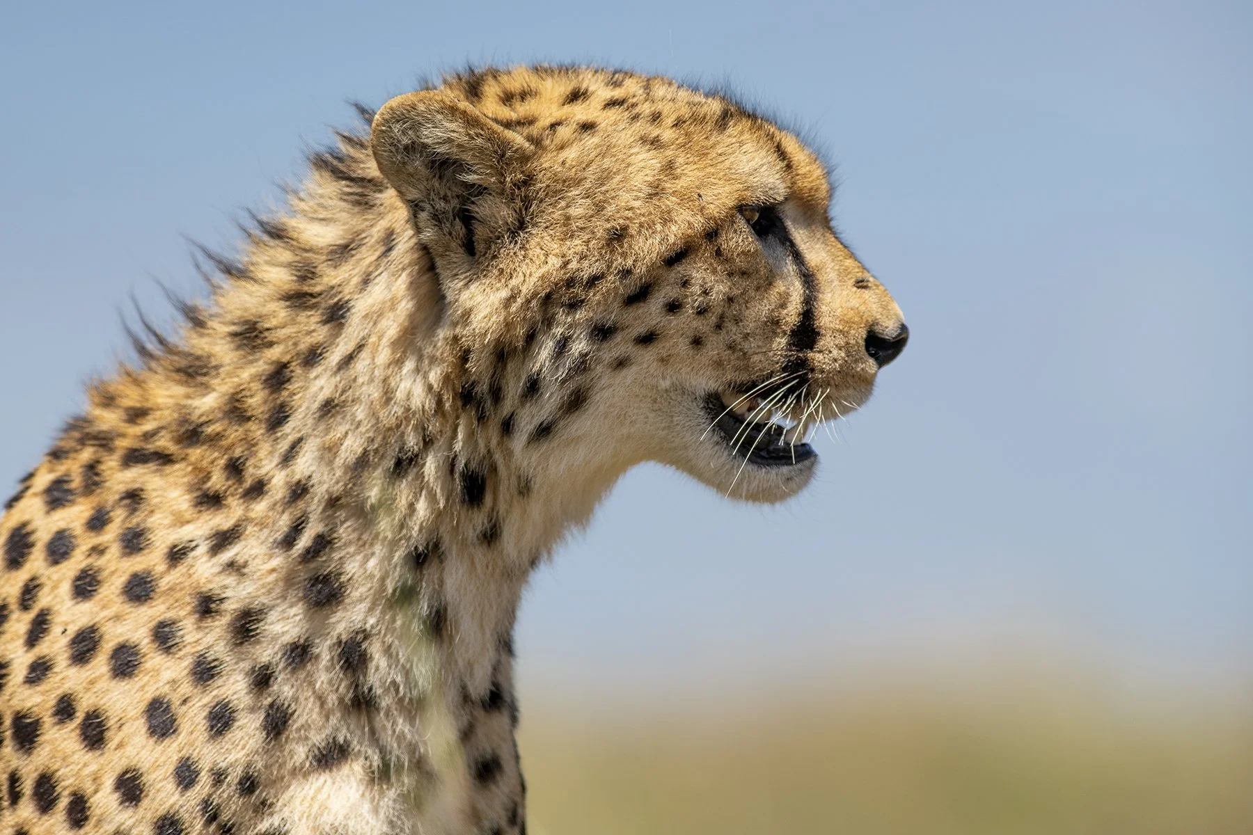 _DSC2012-Edit-Edit copy.jpg