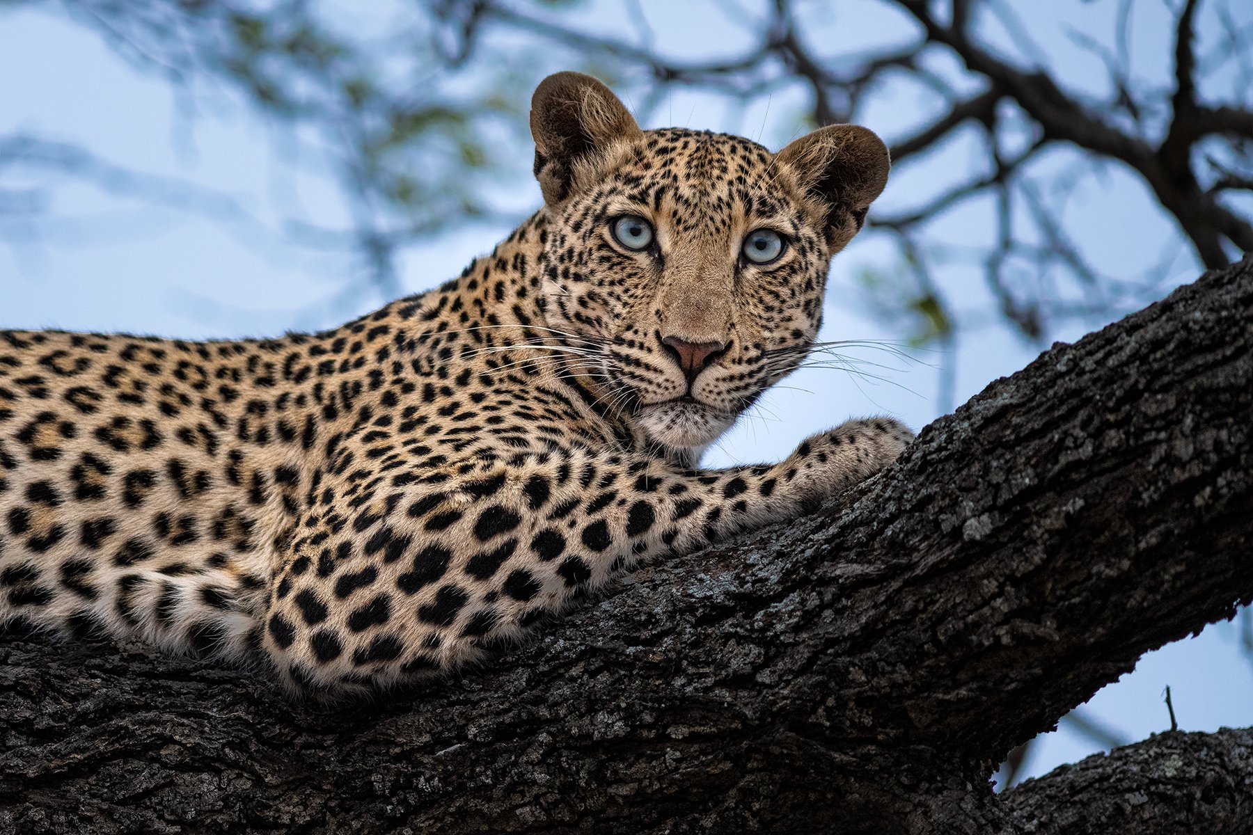 _DSC0042-Edit-2-Edit copy.jpg