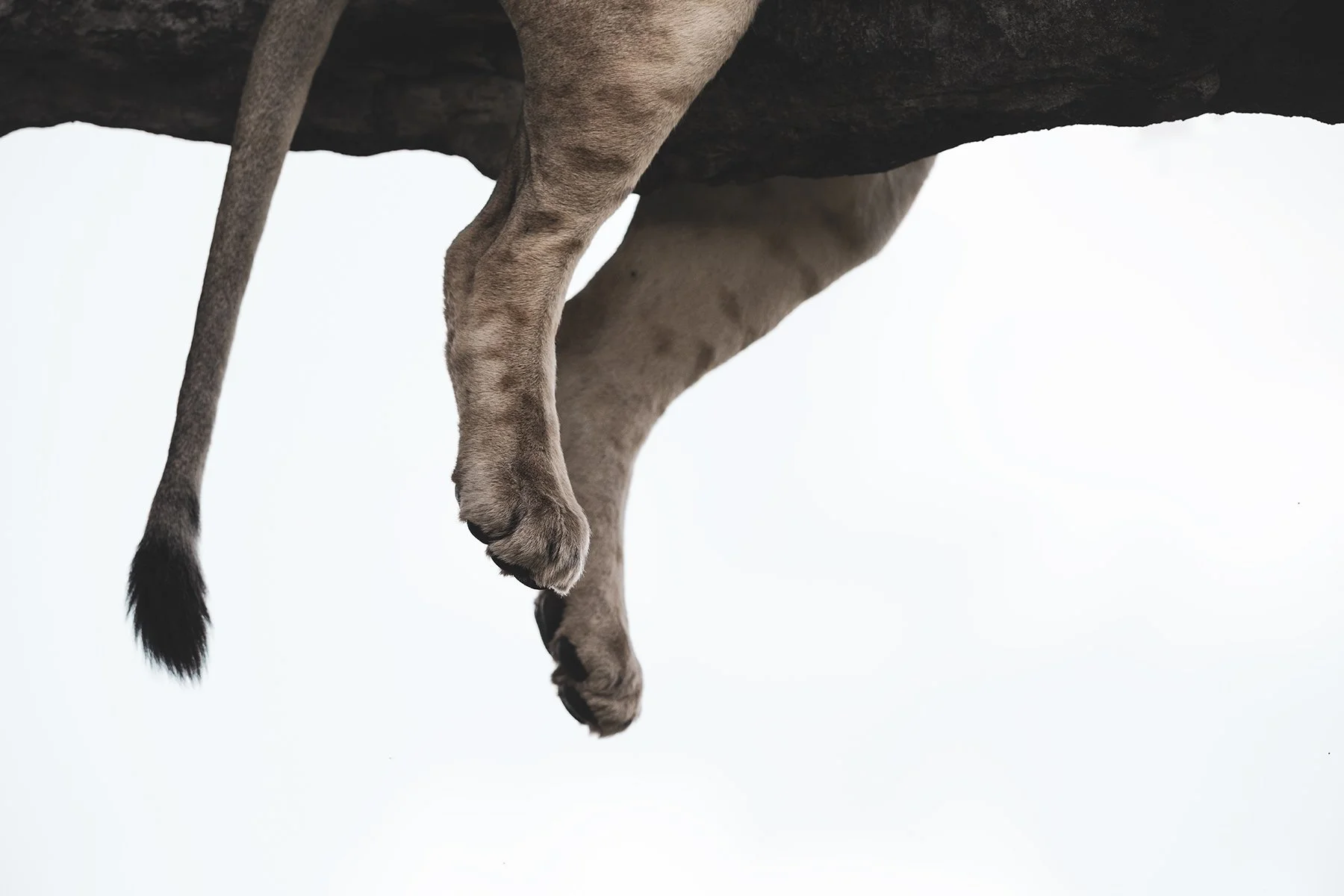 _DSC0033-Edit-2-Edit copy.jpg