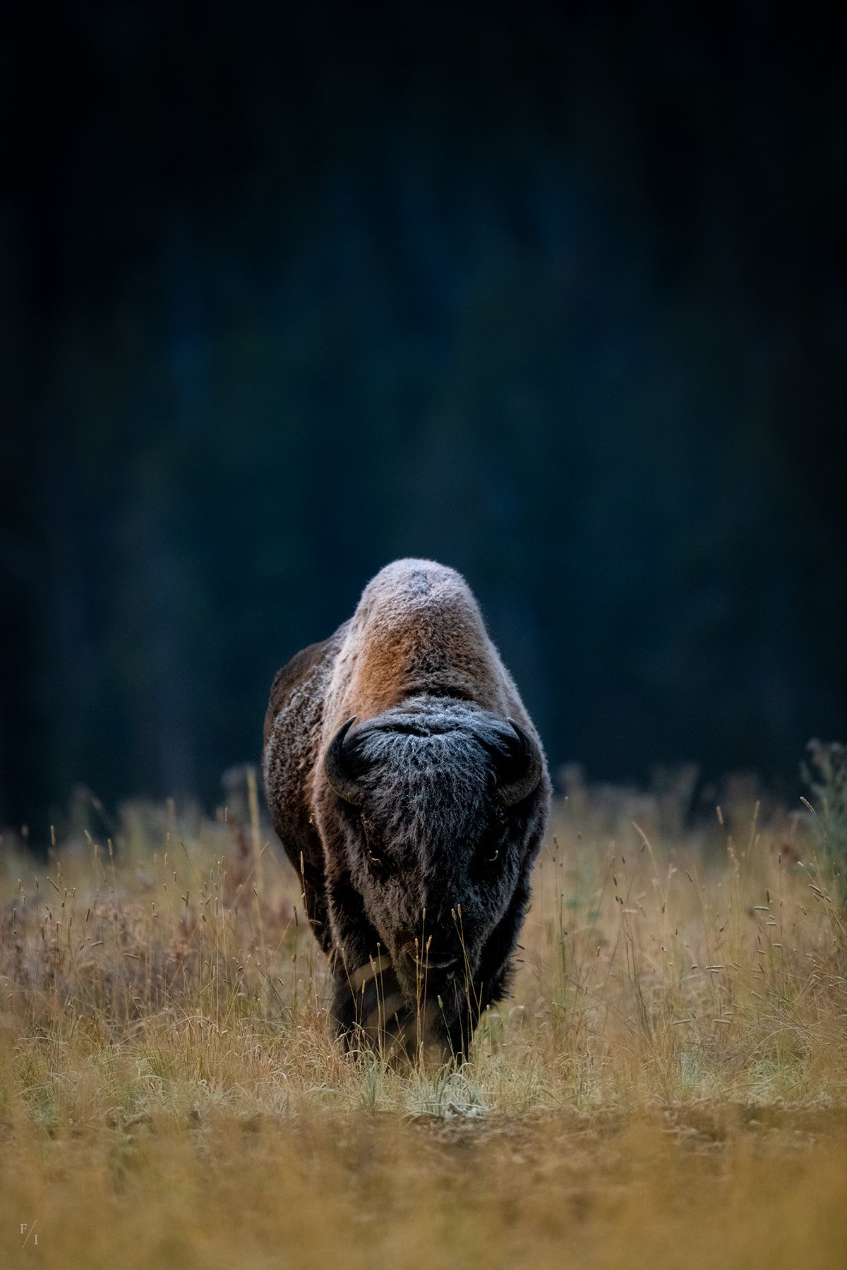 _DSC2850-Edit-2.jpg