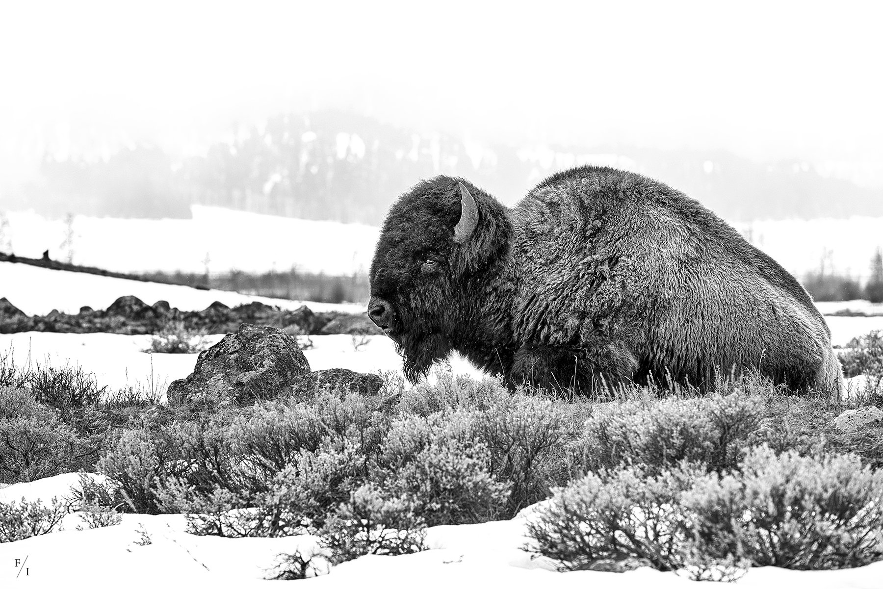 DSC_9002-Edit.jpg