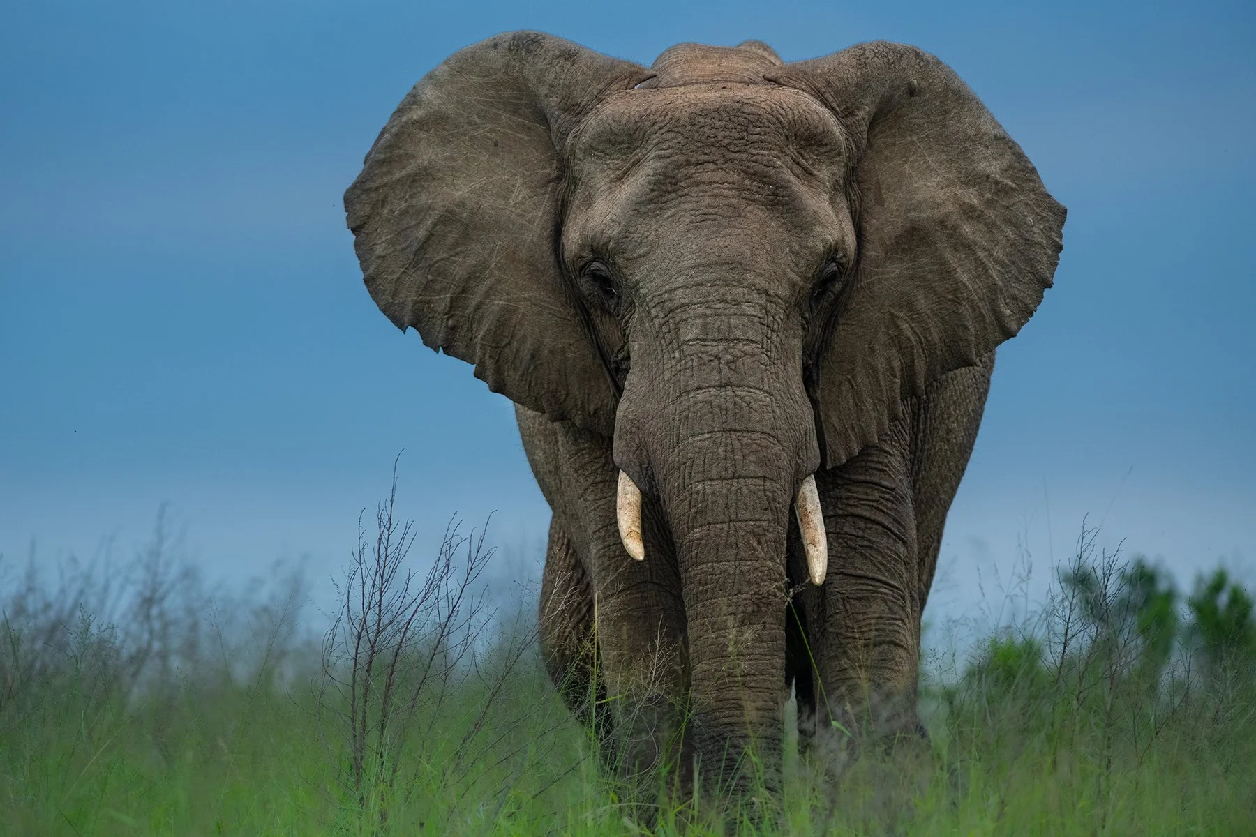 _DSC3416-Edit-Edit copy.jpg