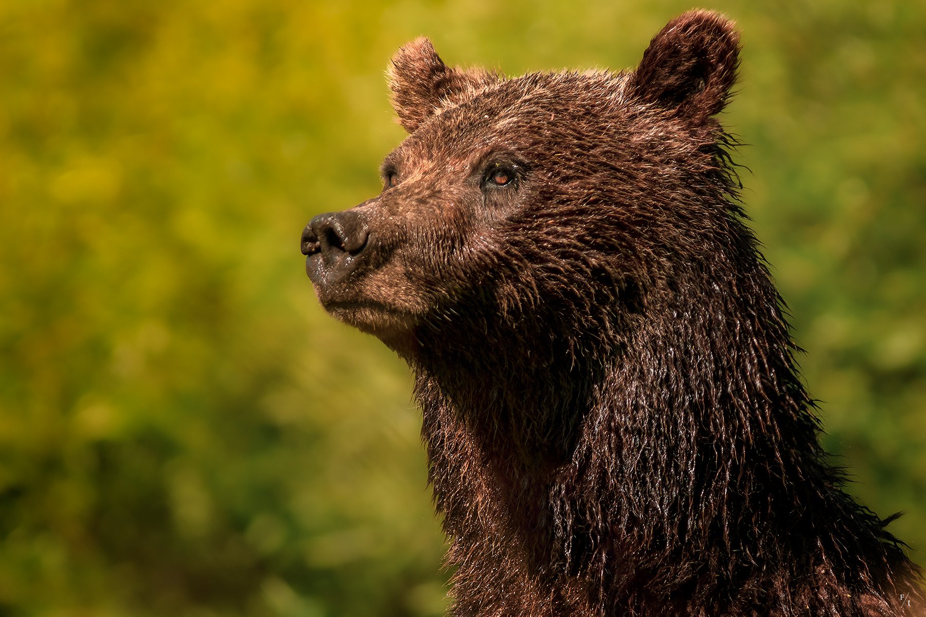 _DSC1727-Edit-2.jpg