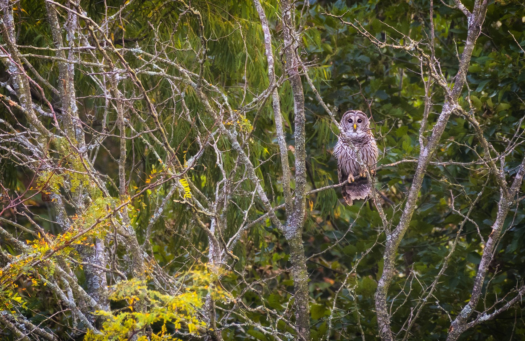 DSC_1903-Edit.jpg