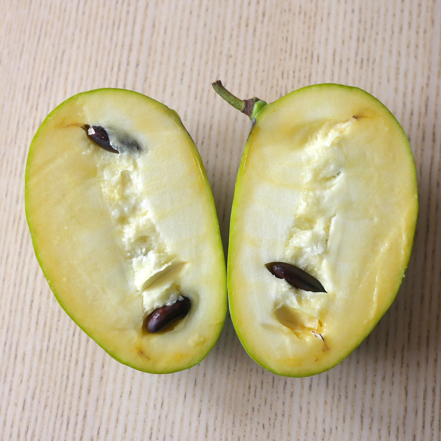 Pawpaw_HaomaSelections.jpg
