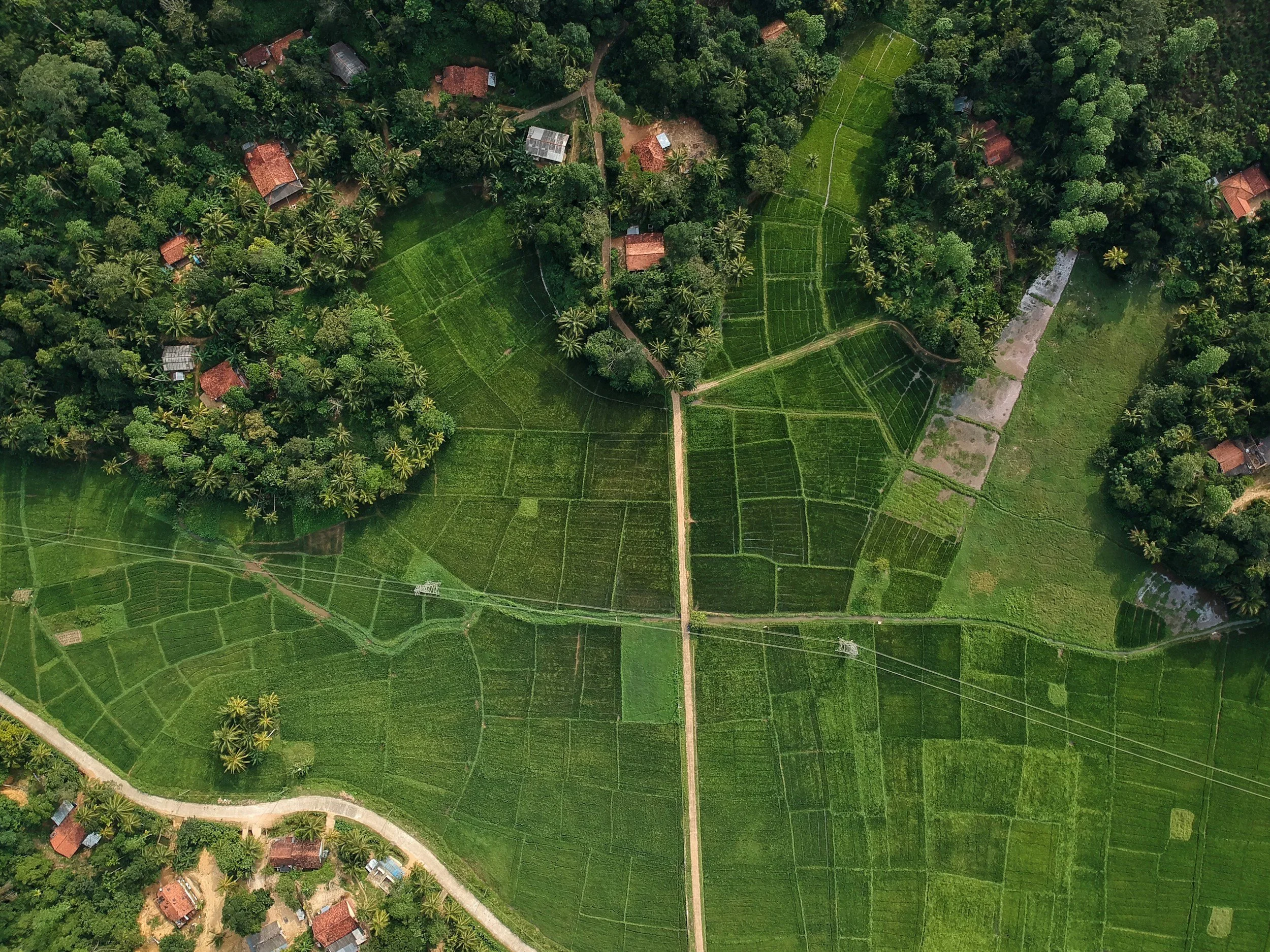 drone pov of farmland and powerlines