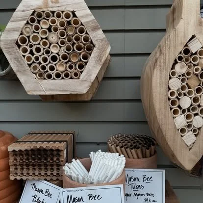 bees.jpg